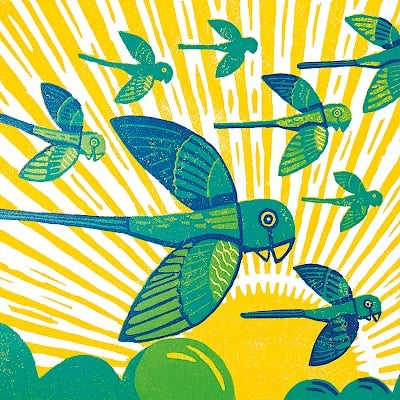 Sunset Parakeets Card