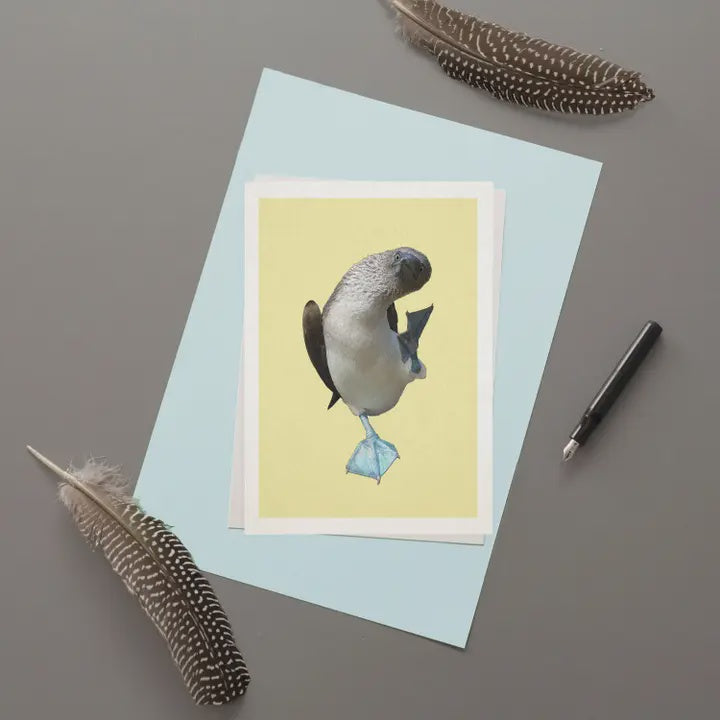 Blue Footed Booby Card