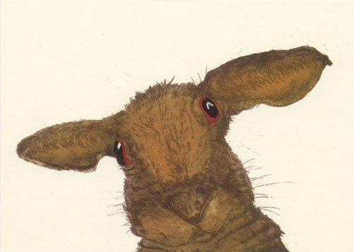 Hare in the Lens Card
