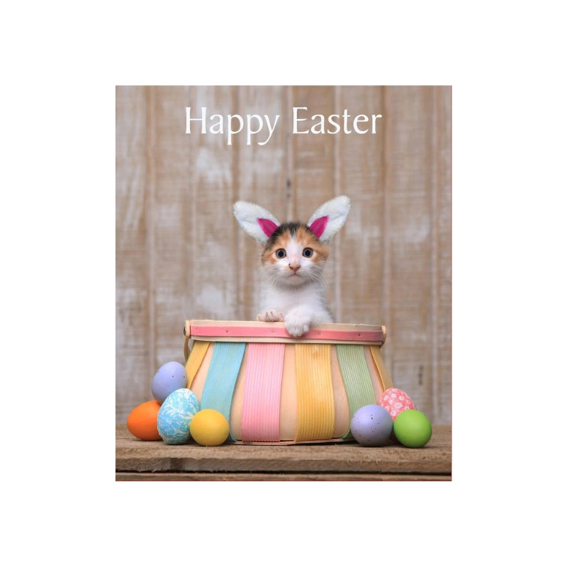 Easter Kitten Card