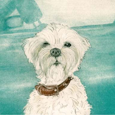 Puppy Card
