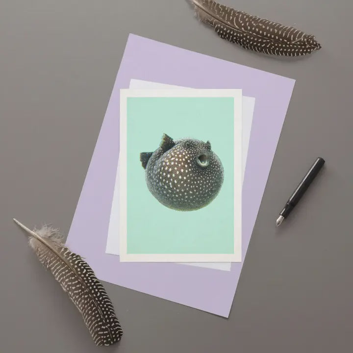 Pufferfish Card
