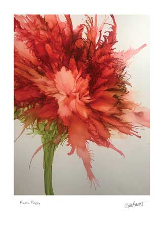 Fiesta Poppy Card