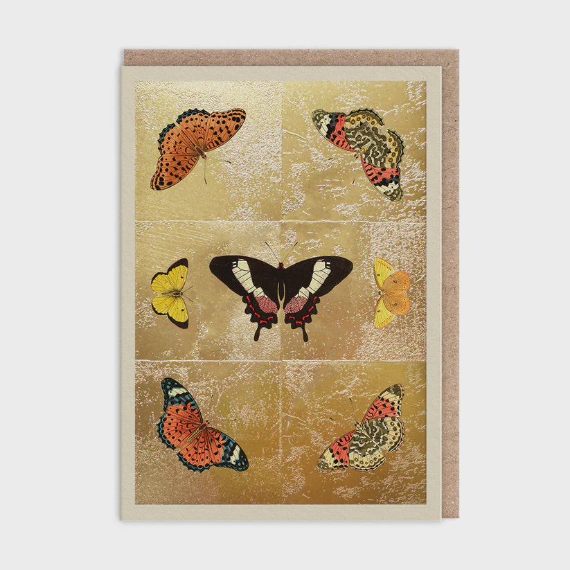 Butterfly Symmetry Card