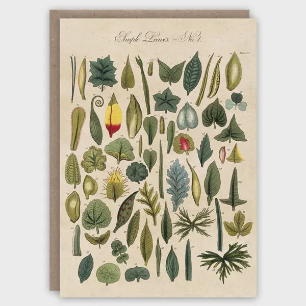 Leaves Card