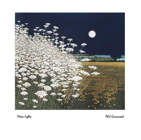 Moon Lights Card