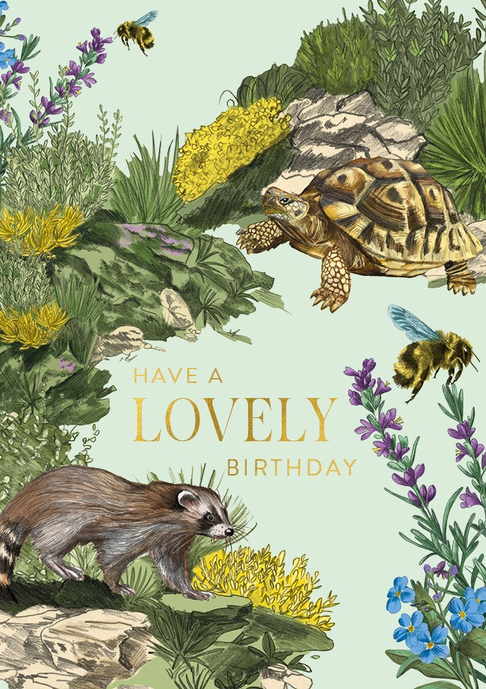 Lovely Turtle B-day Card